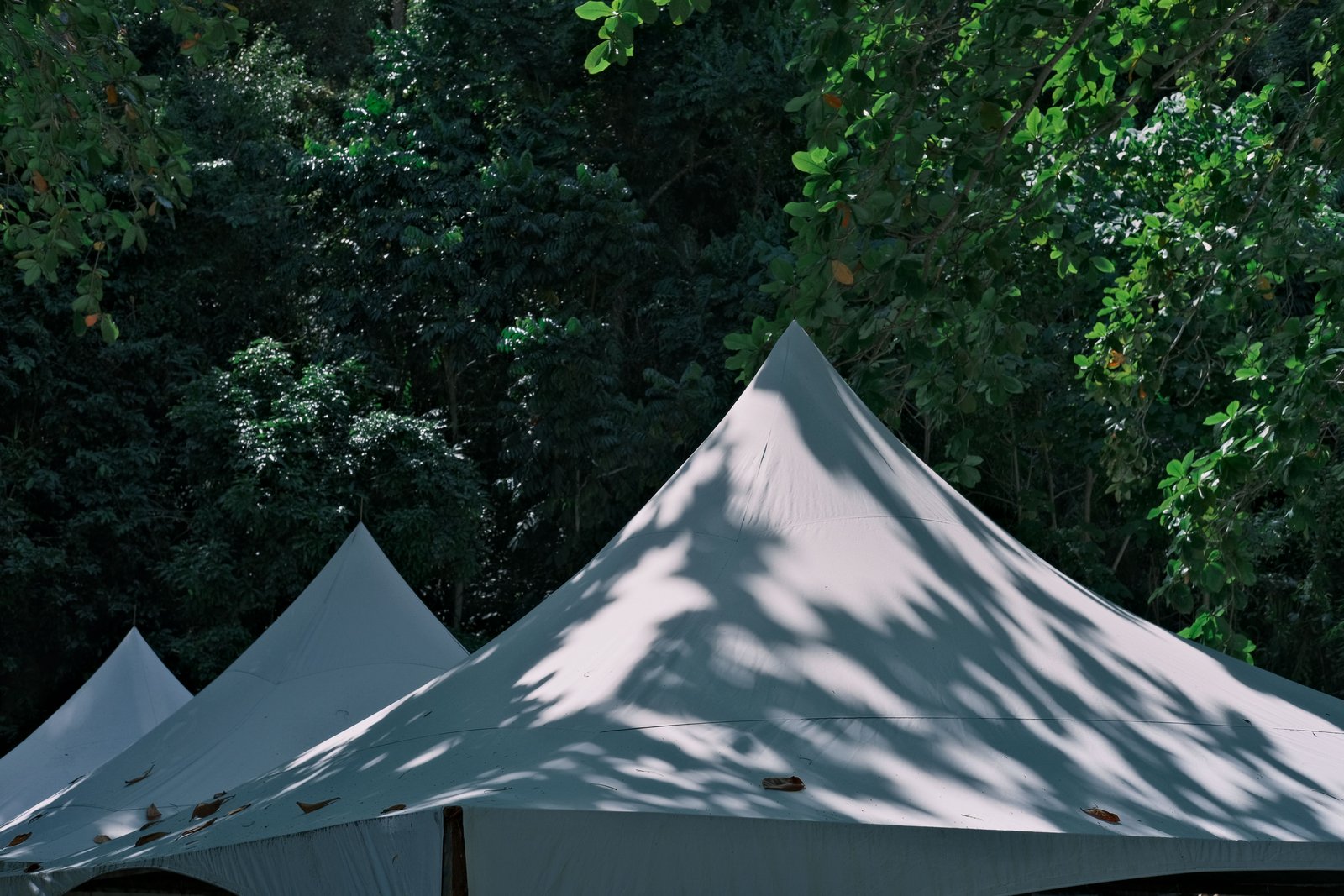 Carpa convencional para punto de atención